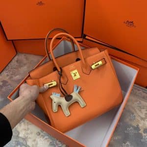 Hermes Togo Leather Gold Hardware Birkin 30 Bag with Twilly Scarf replica