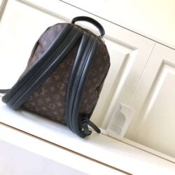 Louis Vuitton Palm Springs replica