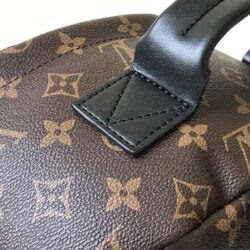 Louis Vuitton Palm Springs replica