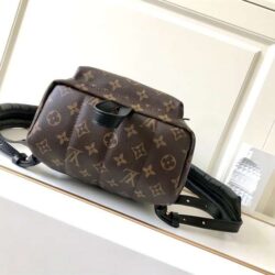 Louis Vuitton Palm Springs replica