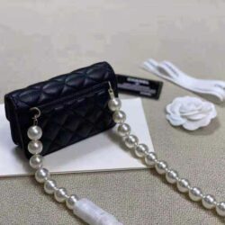 Chanel Clutch with Chain replica