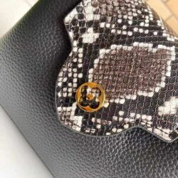 Louis Vuitton Capucines Mini replica