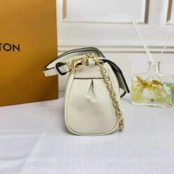 Louis vuitton Favorite replica bag