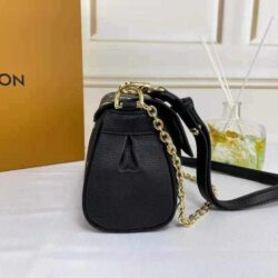 Louis vuitton Favorite replica bag