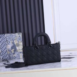 Dior LADY D-JOY BAG replica