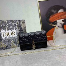 Dior LADY DIOR CHAIN POUCH replica