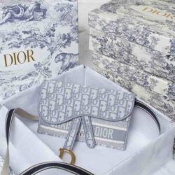 Dior SADDLE BELT POUCH replica