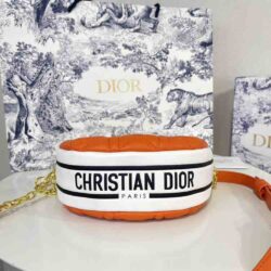 Dior SMALL VIBE HOBO BAG replica