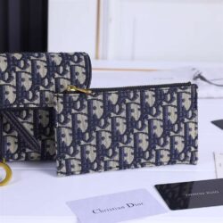 Dior Long Saddle Wallet With Chain replica