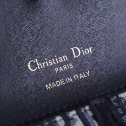 Dior Long Saddle Wallet With Chain replica