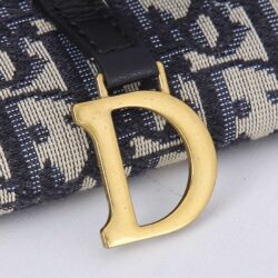 Dior Long Saddle Wallet With Chain replica