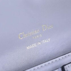 Dior Long Saddle Wallet With Chain replica