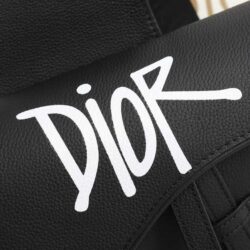 DIOR X KAWS Saddle Bag replica