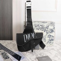 DIOR X KAWS Saddle Bag replica