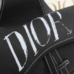 DIOR X KAWS Saddle Bag replica