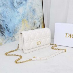 Dior Caro Belt Pouch With Chain replica