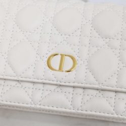 Dior Caro Belt Pouch With Chain replica