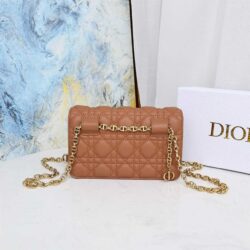 Dior Caro Belt Pouch With Chain replica