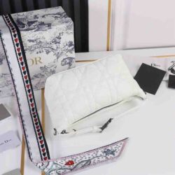 Dior Medium Travel Nomad Pouch replica