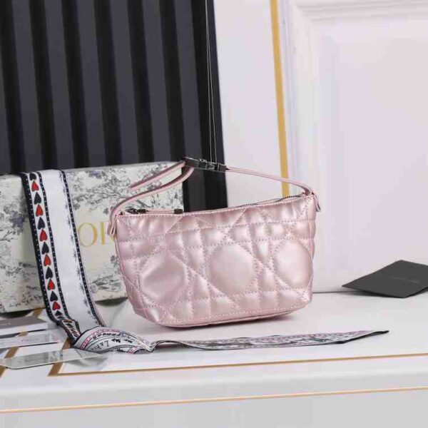 Dior Medium Travel Nomad Pouch replica
