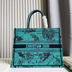 Dior Medium Book Tote Earth Pattern replica