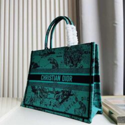 Dior Medium Book Tote Earth Pattern replica