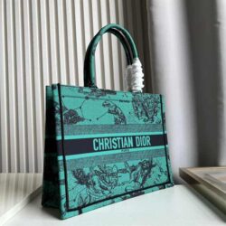 Dior Small Boook Tote Earth Pattern replica