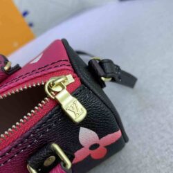 Louis Vuitton NANO SPEEDY Monogram Graphic replica