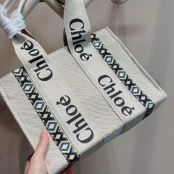 CHLOÉ Woody Small canvas tote replica