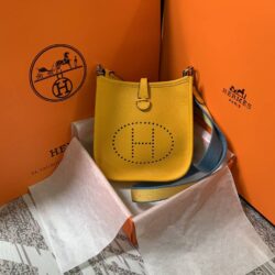 Hermes Evelyne 16 Amazone TPM replica