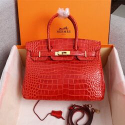 Hermes Birkin 25 Orange Crocodile Exotic Tote Bag