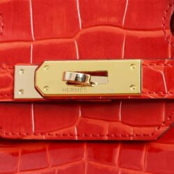 Hermes Birkin 25 Orange Crocodile Exotic Tote Bag