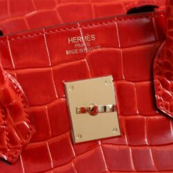 Hermes Birkin 25 Orange Crocodile Exotic Tote Bag