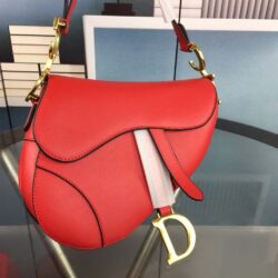 Dior SADDLE BAG WITH STRAP