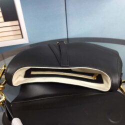 Dior Saddle bag with strap