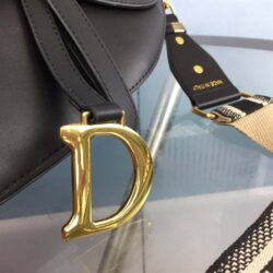 Dior Saddle bag with strap