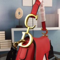 Dior SADDLE BAG WITH STRAP