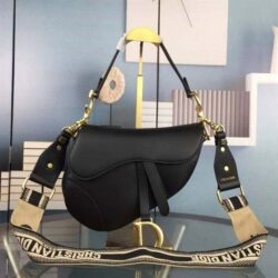 Dior Saddle bag with strap