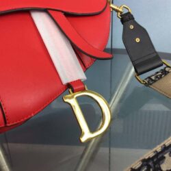 Dior SADDLE BAG WITH STRAP