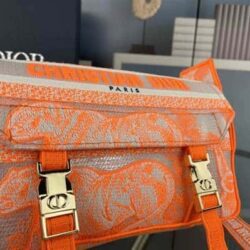 Dior SMALL DIORCAMP BAG Embroidery replica