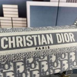 Dior SMALL DIORCAMP BAG Embroidery replica